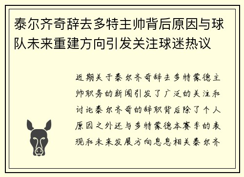 泰尔齐奇辞去多特主帅背后原因与球队未来重建方向引发关注球迷热议